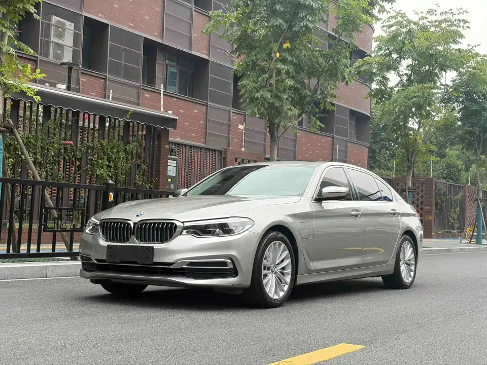 BMW 5 Series New Energy Facelift 530Le Luxury Package 2019