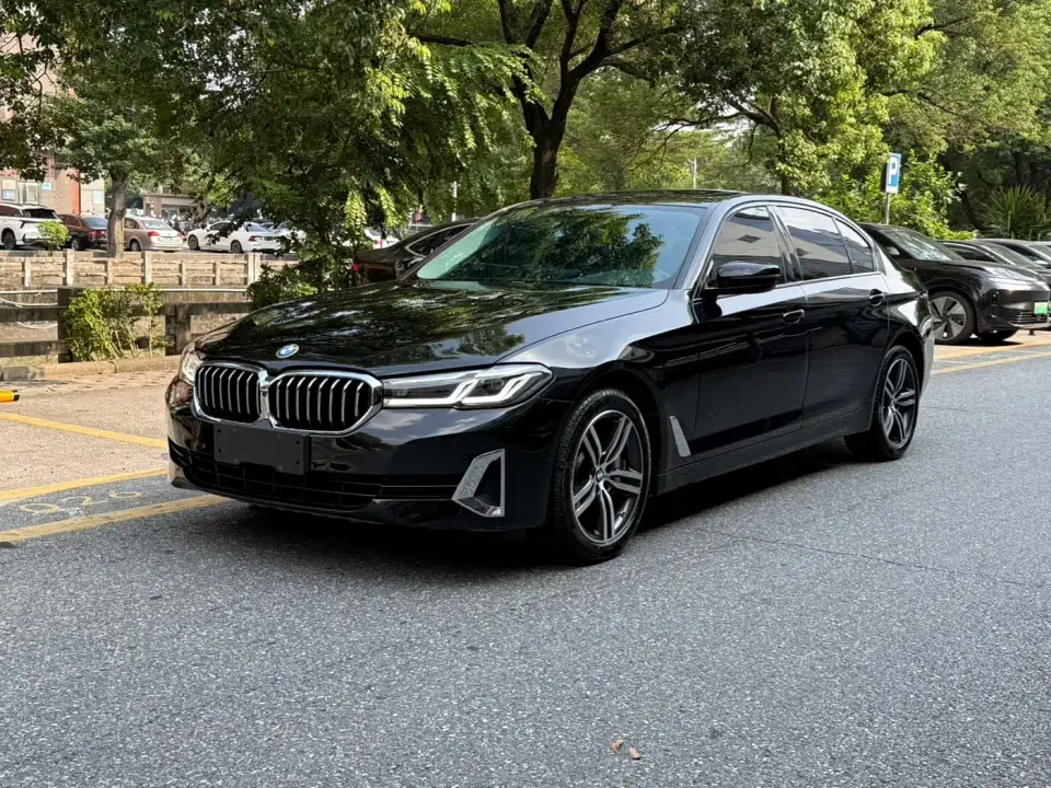 BMW 5 Series 530Li Leading Luxury Package 2021