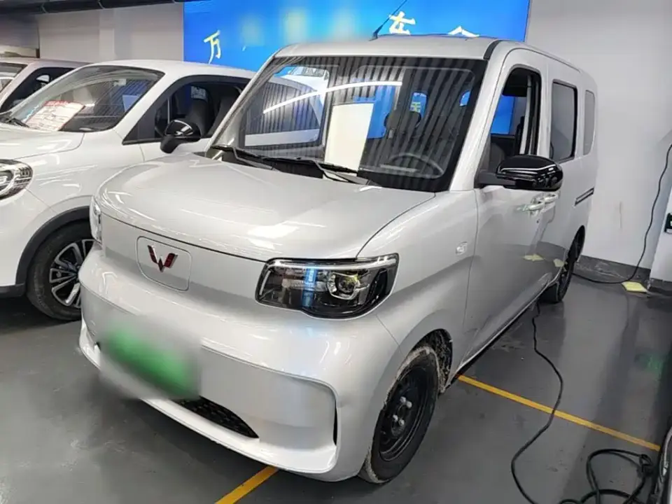 Wuling Motors Wuling Zhiguang NEV Standard Version 2025