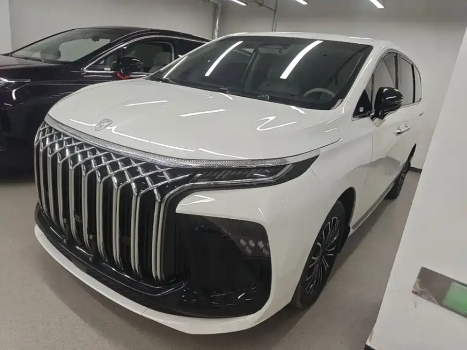 Dongfeng Fengxing Starlight V9 1.5TD 200km Chinese Knot Series Exclusive 2024