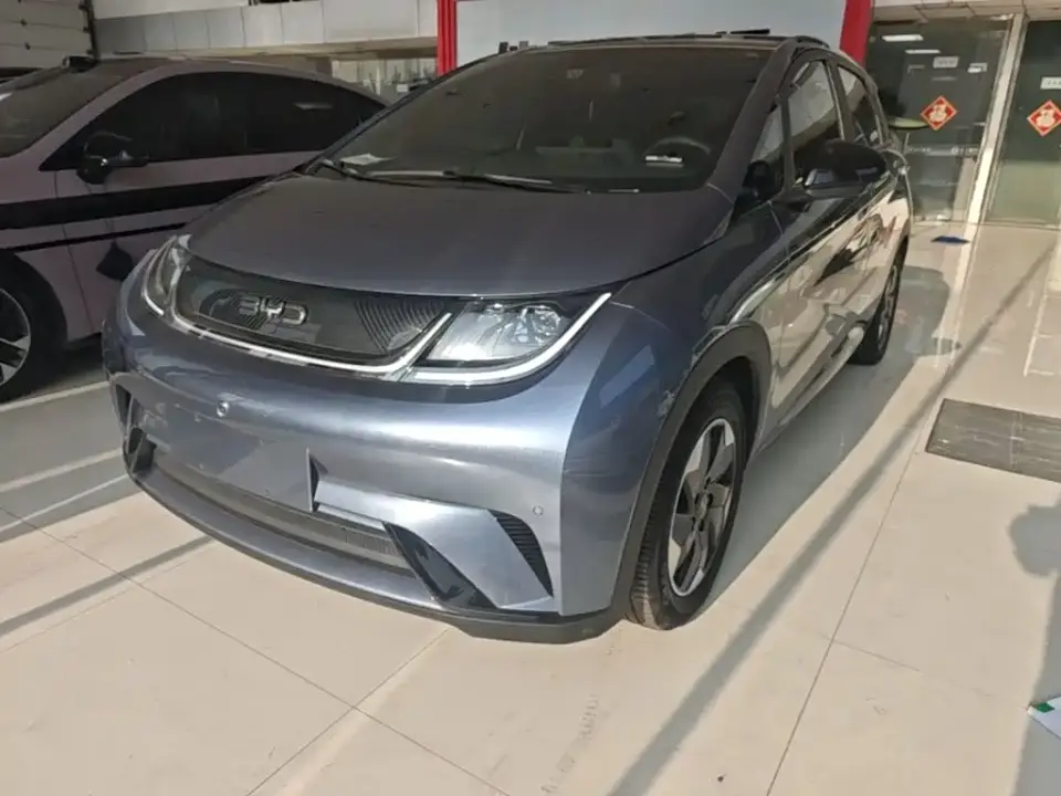 BYD Dolphin Glory Edition 420km Fashion Edition 2024