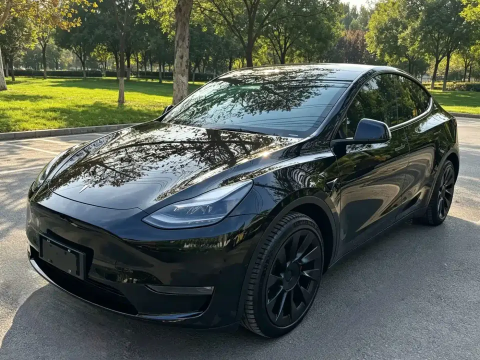 Tesla Model Y Rear-Wheel Drive Version 2022