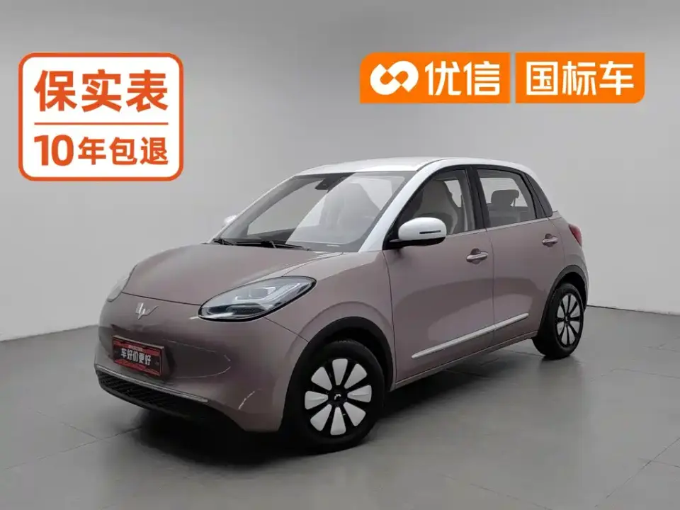 Wuling Motors Wuling Bingo 203km Comfort Version 2023