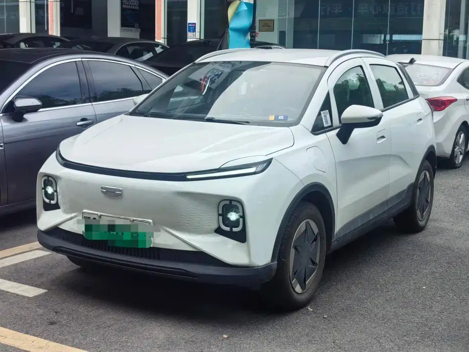 Geely Geometry E Firefly Model 301km Light Flow 2024