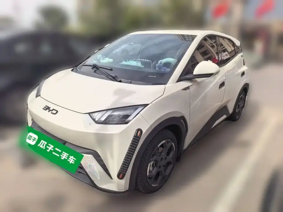 BYD Seagull 305km Freedom 2024