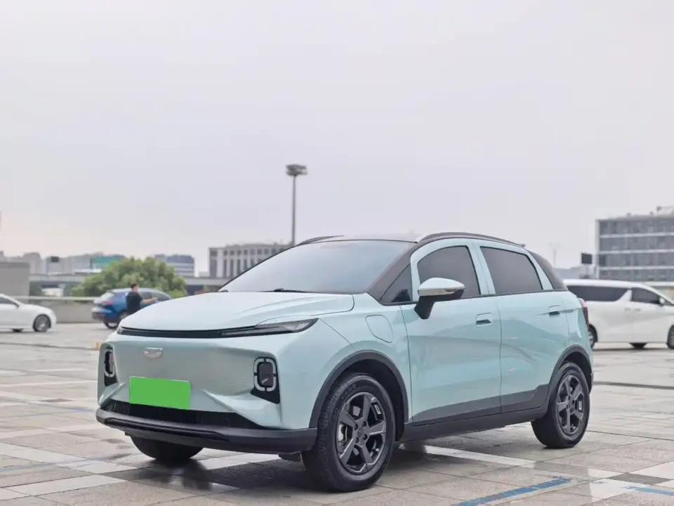 Geely Geometry E Firefly Model 301km Starlight 2024