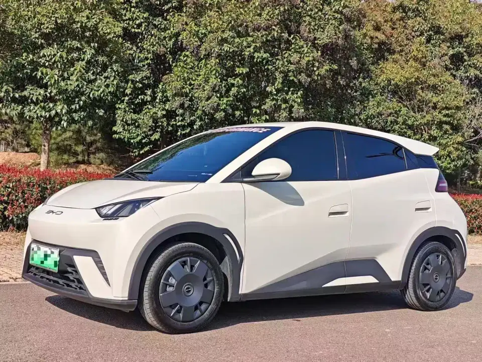 BYD Seagull Glory Edition 305km Vitality Edition 2025
