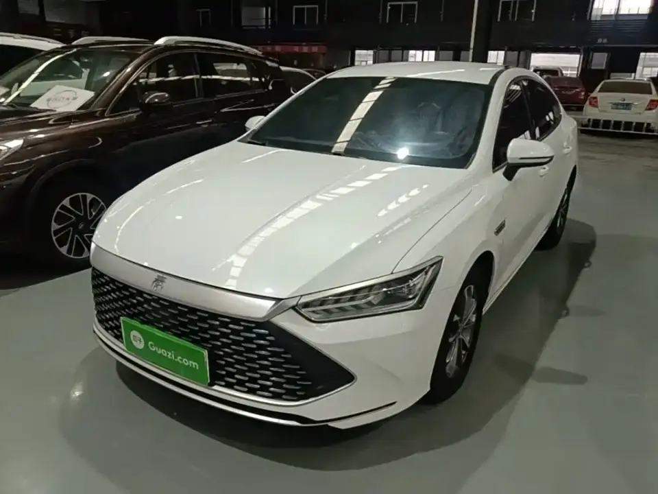 BYD Qin PLUS Champion Edition DM-i 55KM Leading 2023