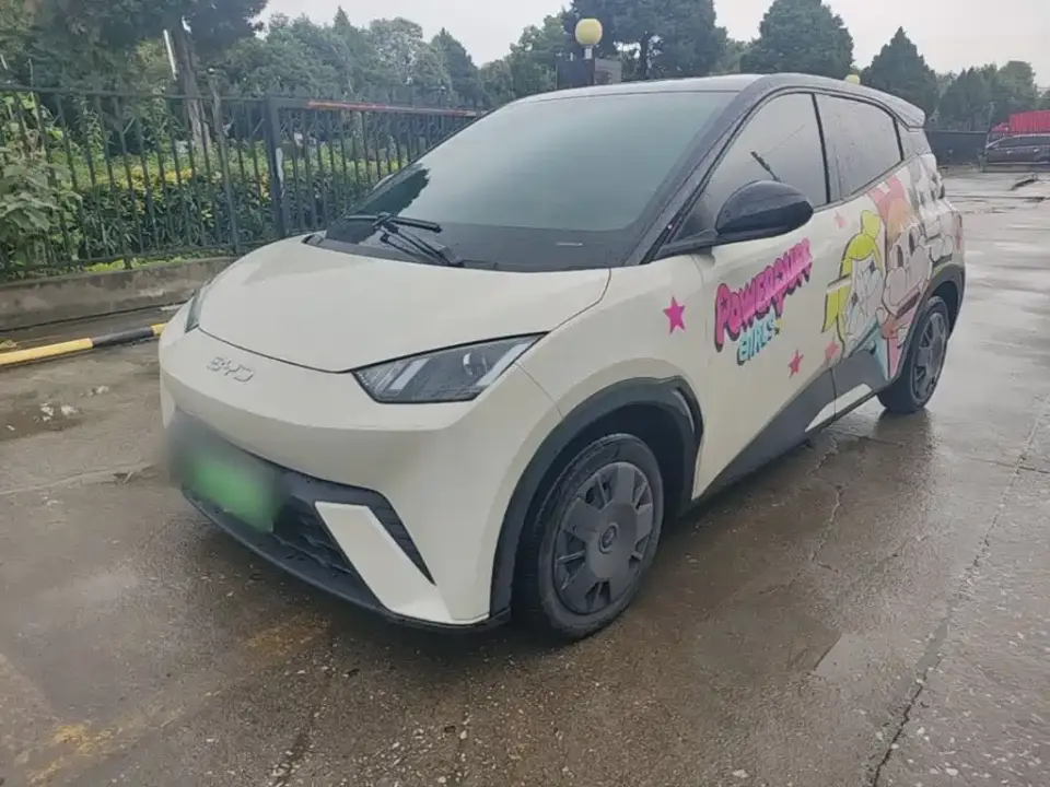 BYD Seagull Glory Edition 305km Vitality Edition 2024