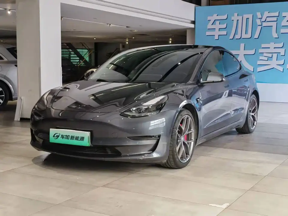 Tesla Model 3 Performance High-Performance All-Wheel Drive 3D6 2021