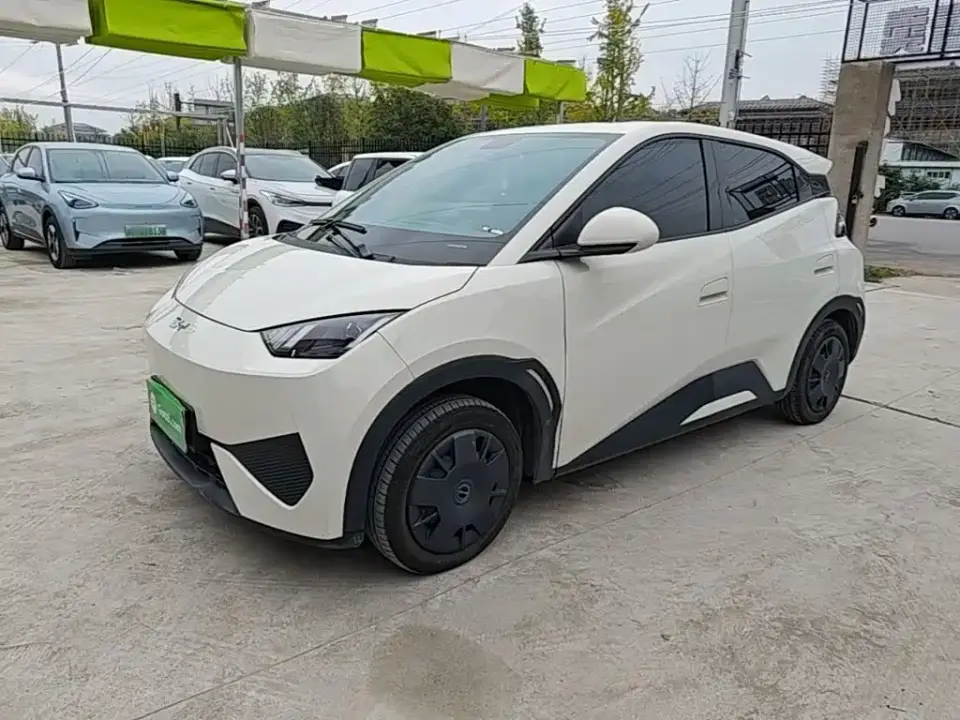 BYD Seagull 305km Vitality 2025