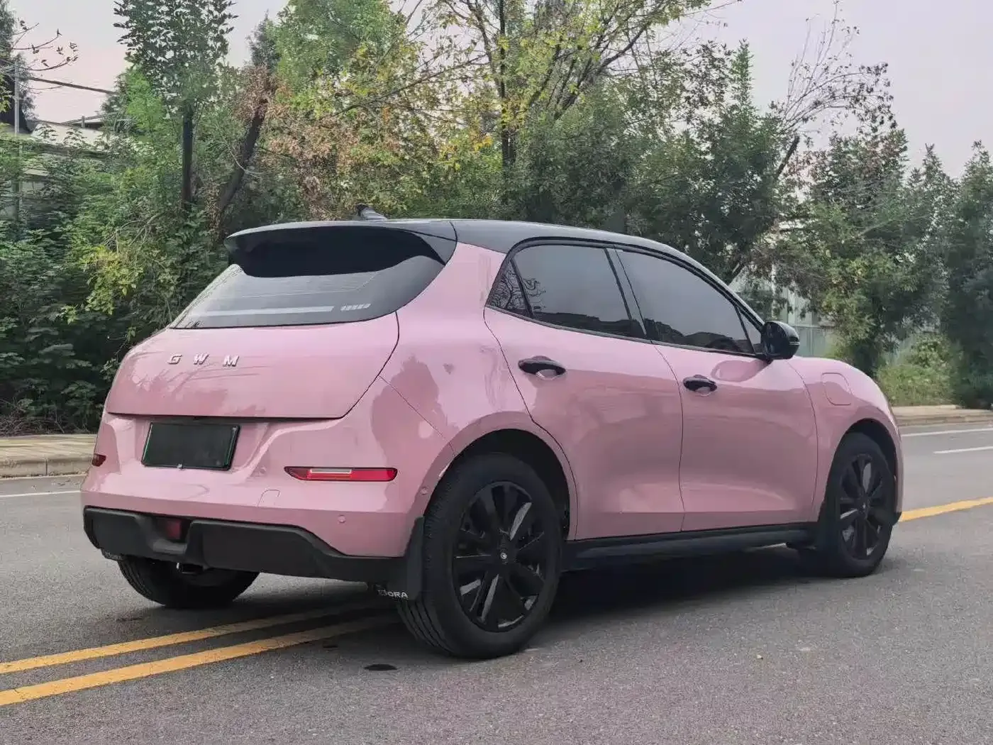 ORA Good Cat 430km Honor Edition 2025 — фото 7
