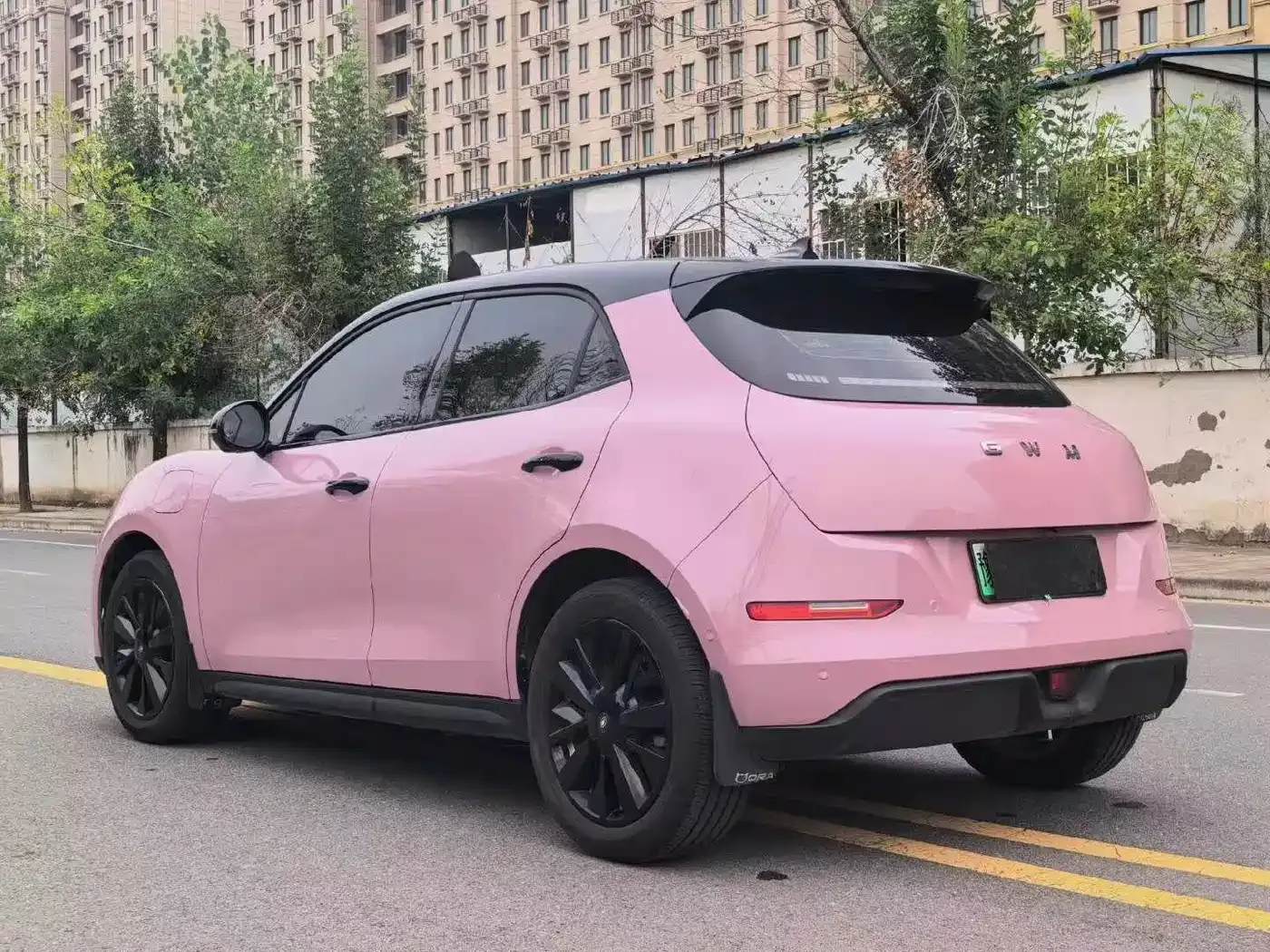 ORA Good Cat 430km Honor Edition 2025 — фото 9