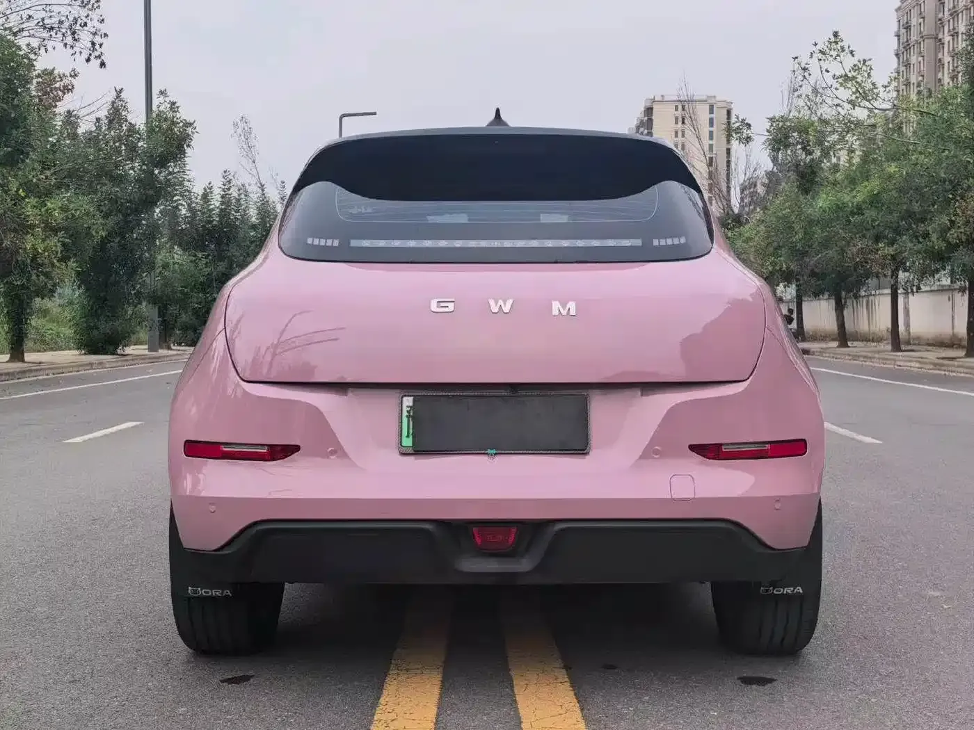 ORA Good Cat 430km Honor Edition 2025 — фото 8
