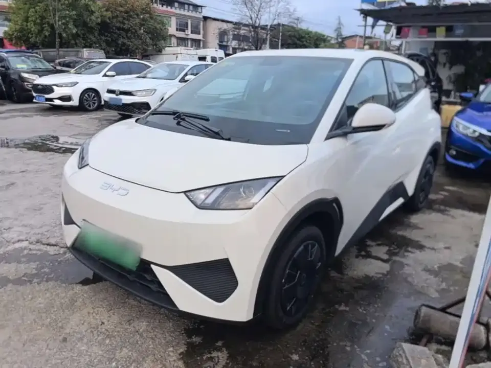 BYD Seagull Smart Drive Edition 305km Vitality Version 2026