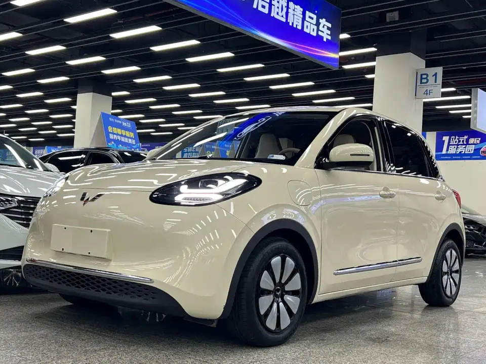 Wuling Motors Wuling Bingo Model 333km Joy Edition 2025