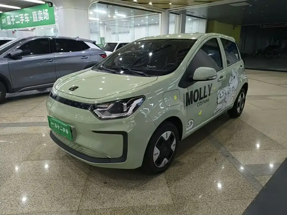 Sehol Flower Fairy Anniversary Edition 200km Lavender 30kW 2025