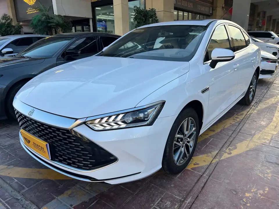 BYD Qin PLUS Champion Edition DM-i 120KM Leading Type 2024