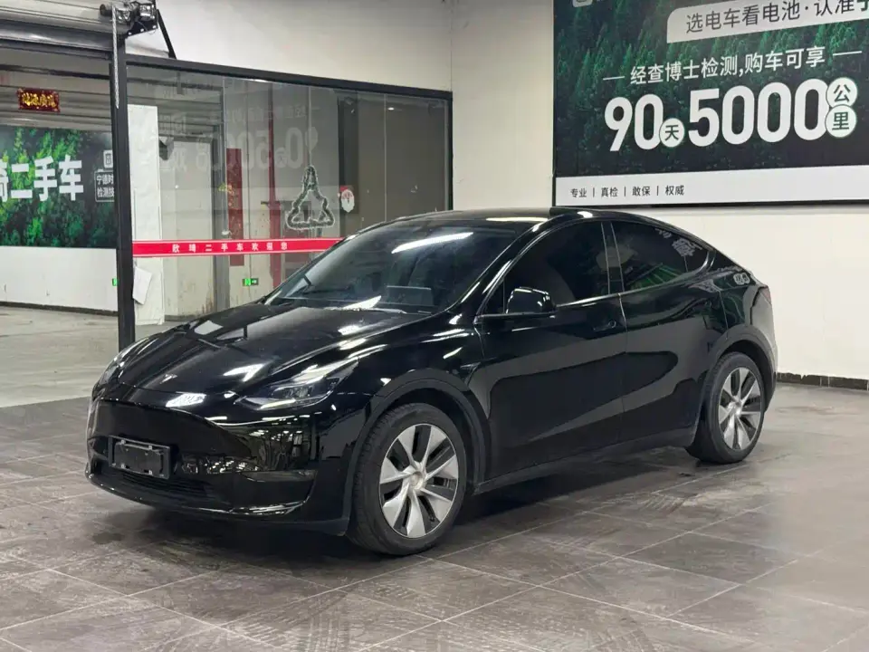 Tesla Model Y Model Long Range AWD 2021