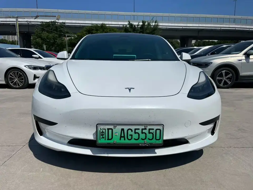 Tesla Model 3 Standard Range Rear-Wheel Drive Upgrade 3D6 2021