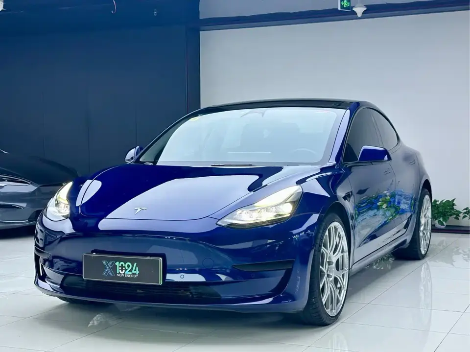 Tesla Model 3 Model Rear-Wheel Drive Version 2022