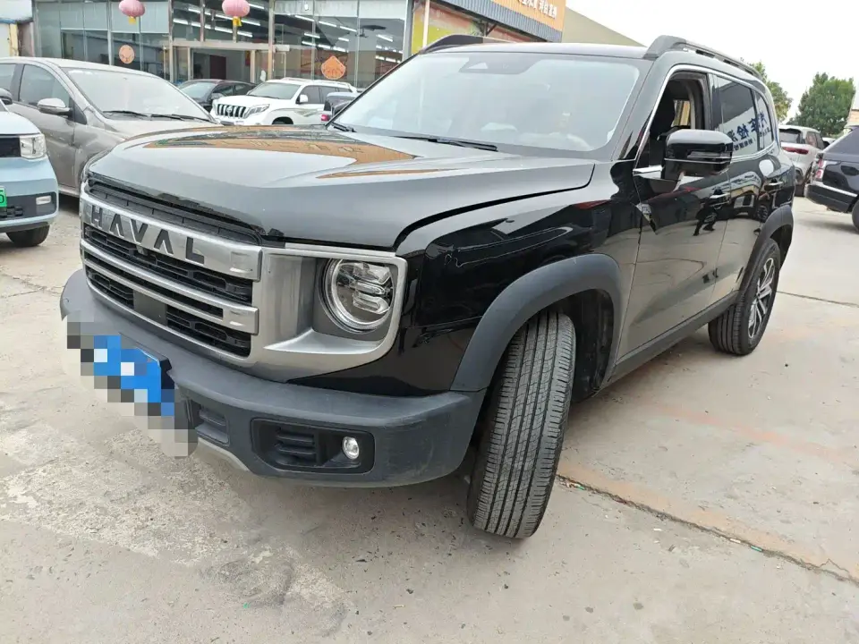 Haval Big Dog 1.5T DCT Border Collie Edition 2023
