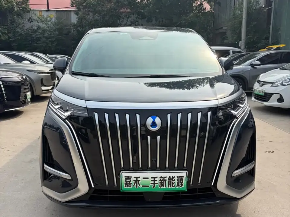 Denza D9 EV 600 4WD Flagship 2023