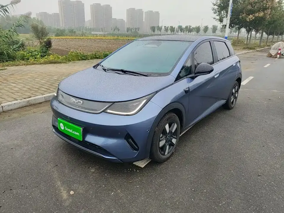 BYD Dolphin Smart Drive Edition 410km Fashion Version 2025