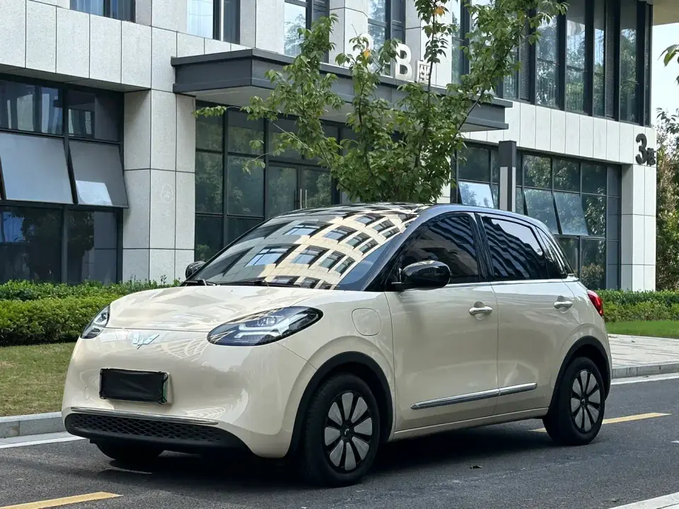 Wuling Motors Wuling Bingo Model 333km Smart Connect 2025