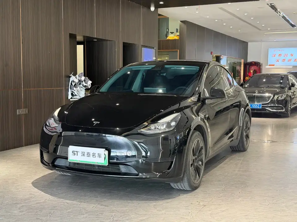 Tesla Model Y Rear-Wheel Drive Version 2022
