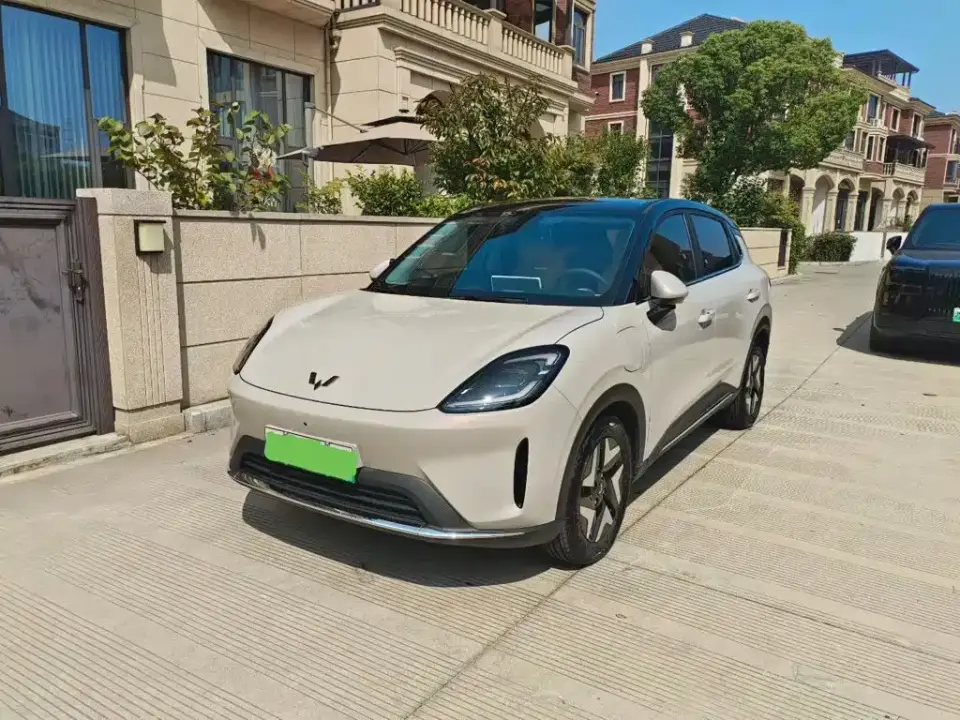 Wuling Motors Wuling Bingo S Model 325km Flagship Edition 2026