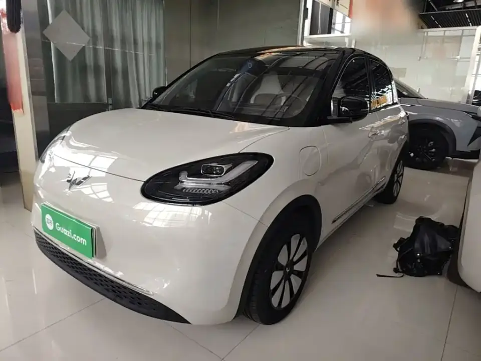 Wuling Motors Wuling Bingo 333km Comfort Edition 2024