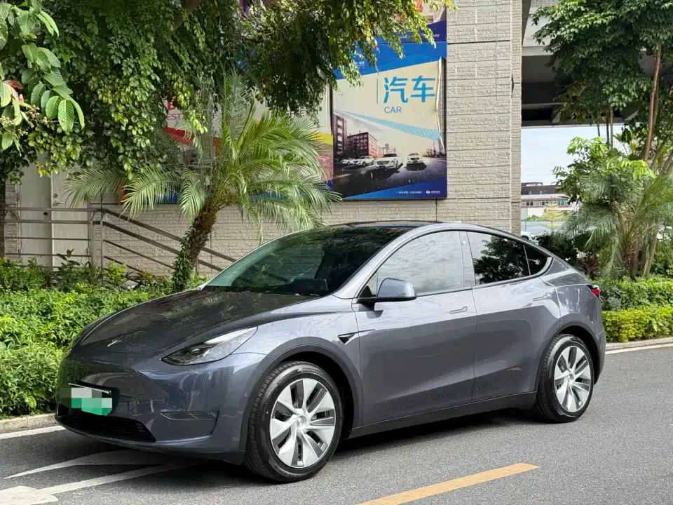 Tesla Model Y Standard Range Rear-Wheel Drive 2021