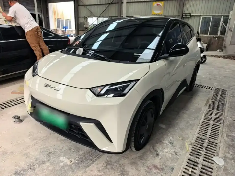 BYD Seagull Vitality Edition 2024