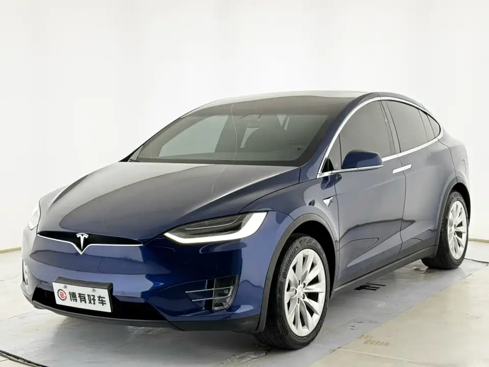 Tesla Model X Long Range Version 2020