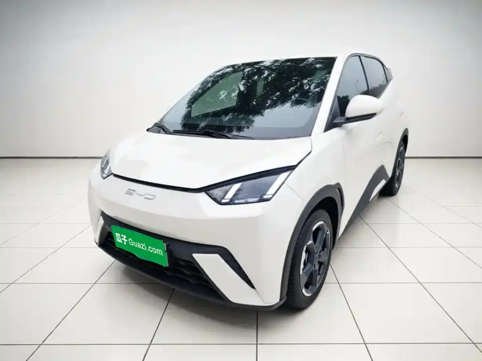 BYD Seagull Freedom Edition 2023