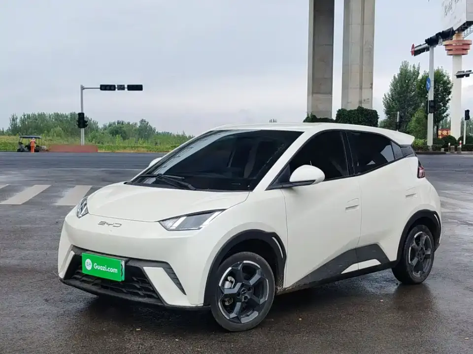BYD Seagull Flying Edition 2023