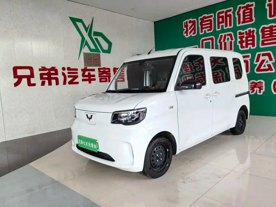 Wuling Motors Wuling Zhiguang NEV Standard Version 2026