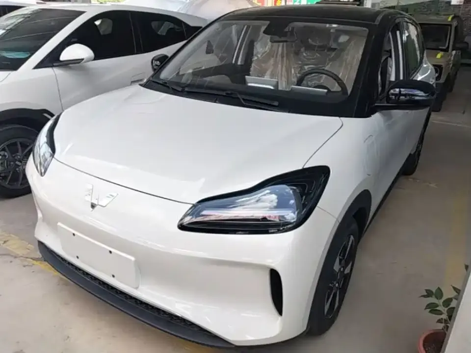 Wuling Motors Wuling Binguo PLUS Model 330km 5-Seater 2026
