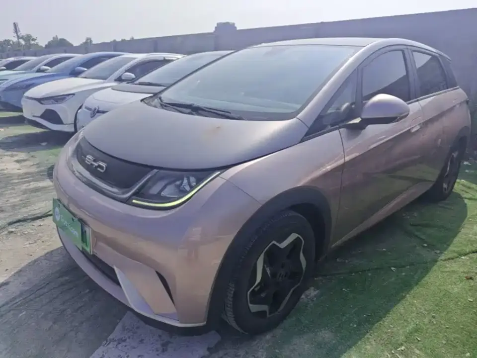 BYD Dolphin Model 405km Fashion Edition 2021