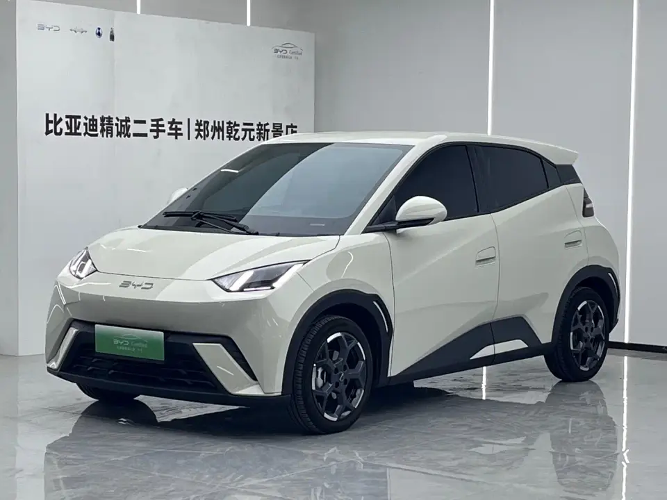 BYD Seagull 305km Freedom 2025