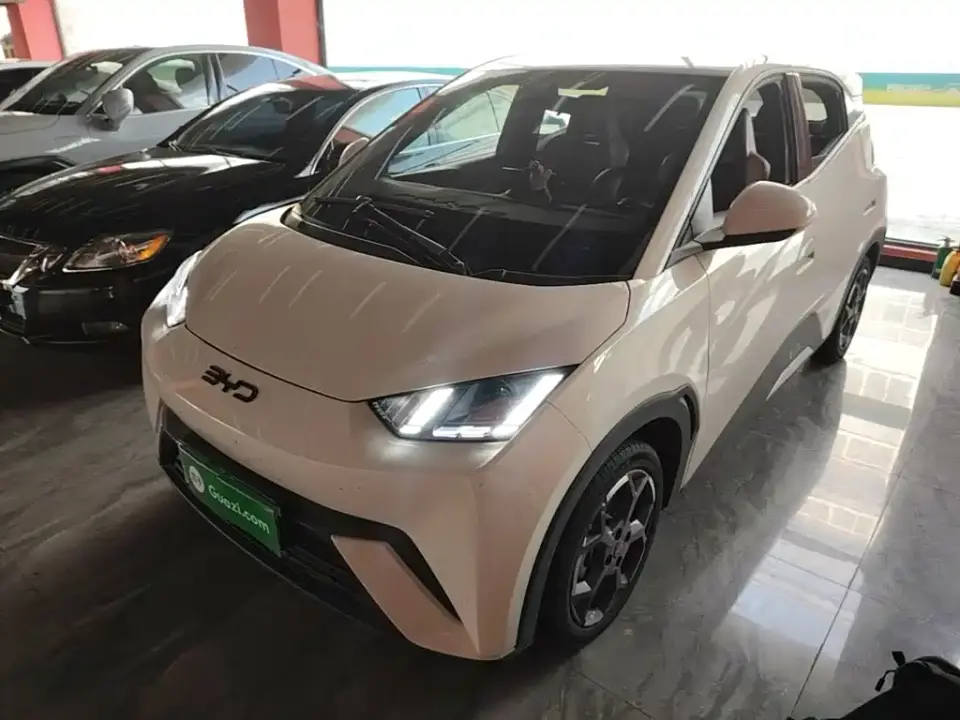 BYD Seagull 305km Freedom 2025