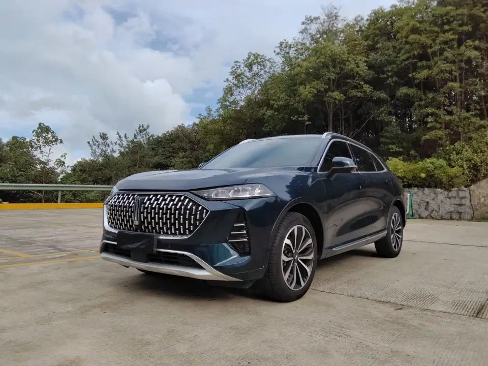 Wey Mocha 2.0T 2WD Extra Rich Edition 2022