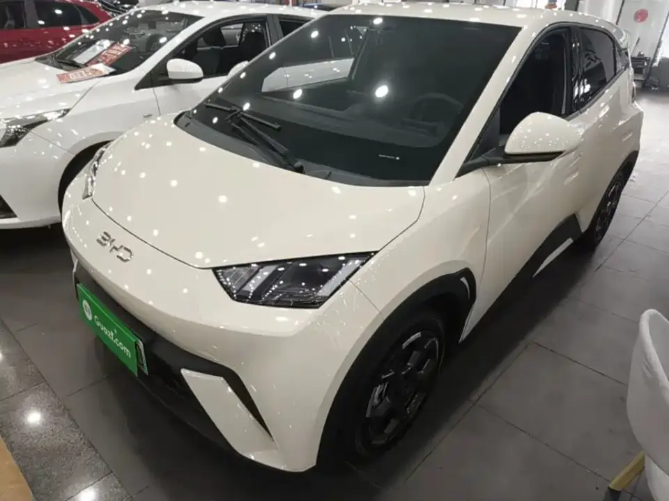 BYD Seagull 305km Freedom 2024