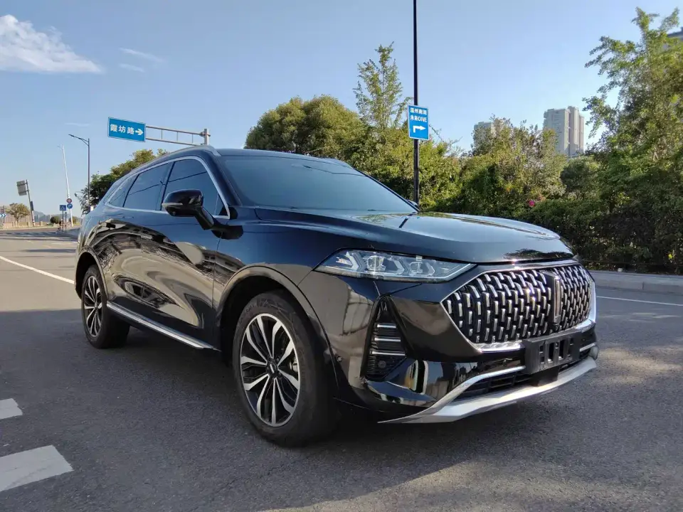 Wey Mocha 2.0T 2WD Extra Rich Edition 2022