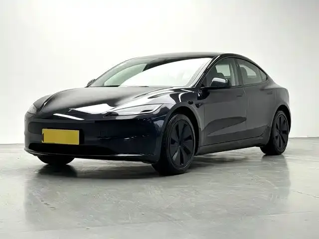 Tesla Model 3 Model Rear-Wheel Drive Edition 2025