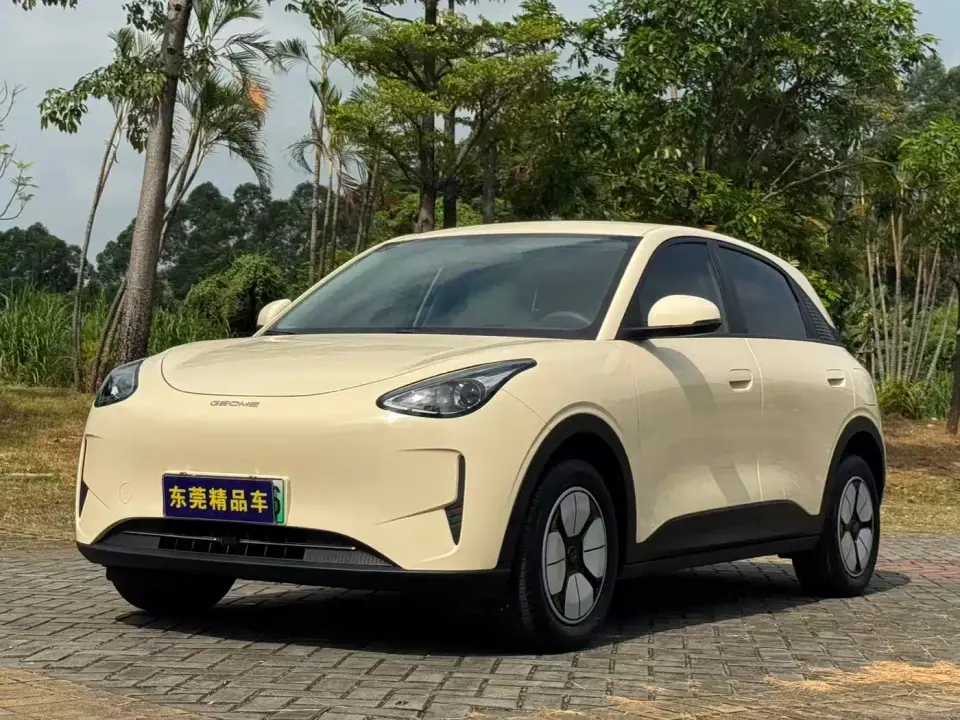 Geely Galaxy Starry Wish 310km Youth Edition 2025