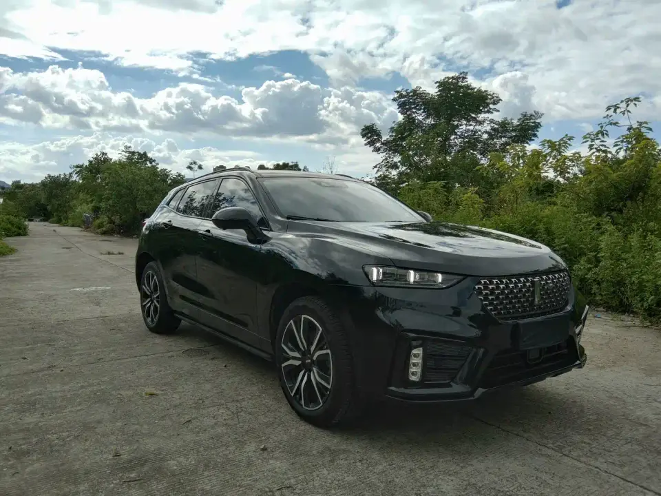 Wey VV7 New Energy PHEV 2.0T Flagship Model 2021