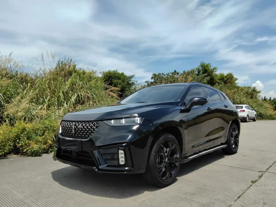 Wey VV7 Model 2.0T Flagship 2020