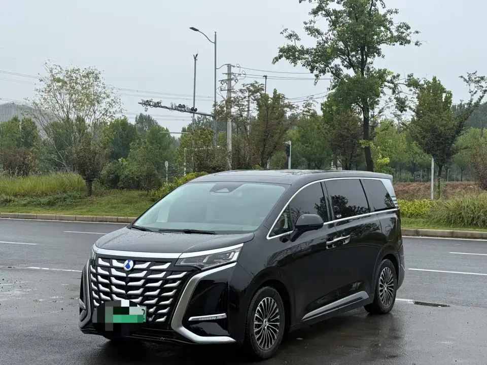 Denza D9 DM-i 980 AWD Flagship 2025